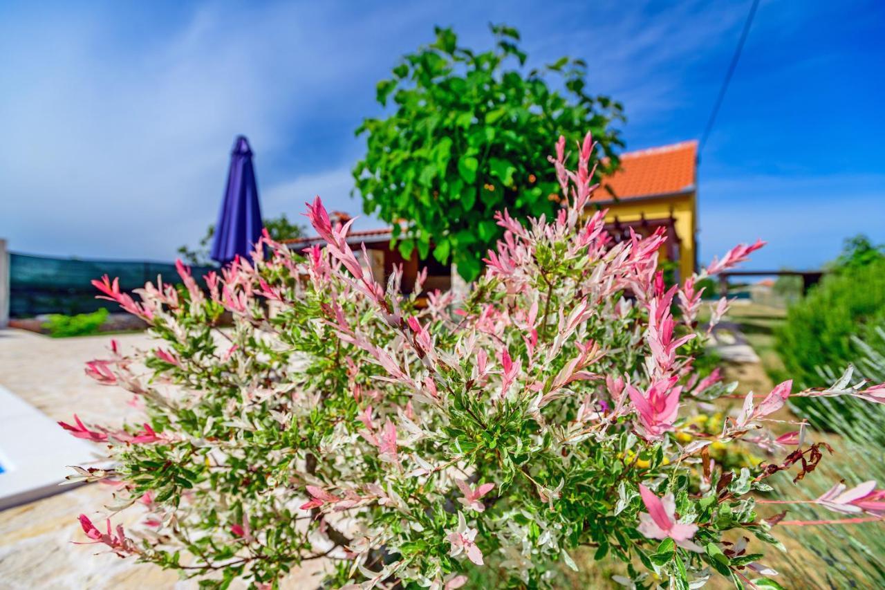 Вілла Sunny House Smokovic Екстер'єр фото