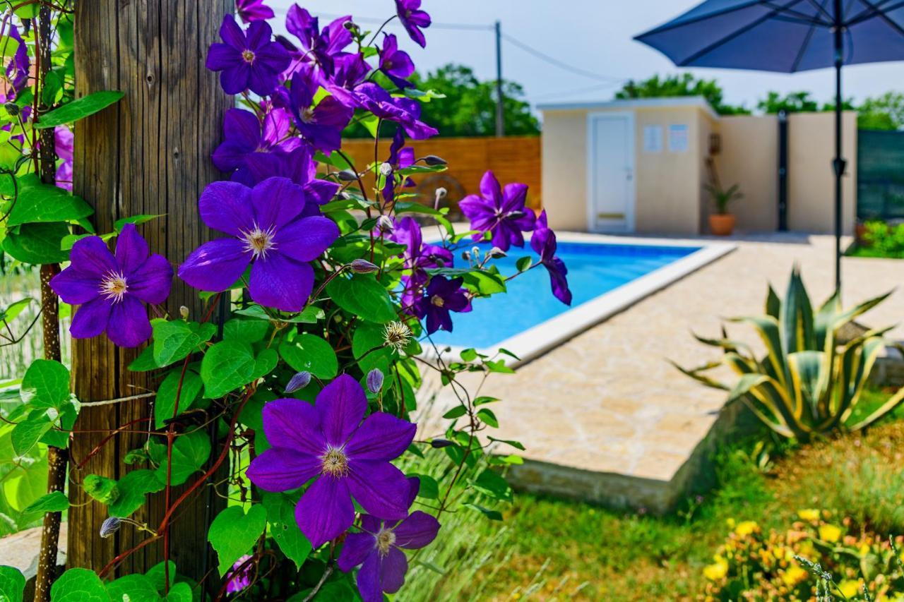 Вілла Sunny House Smokovic Екстер'єр фото