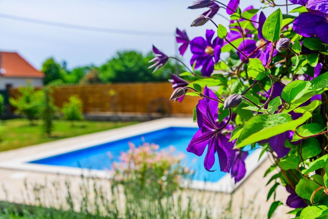 Вілла Sunny House Smokovic Екстер'єр фото