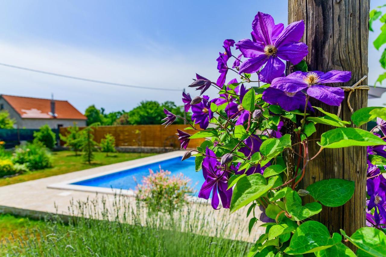 Вілла Sunny House Smokovic Екстер'єр фото