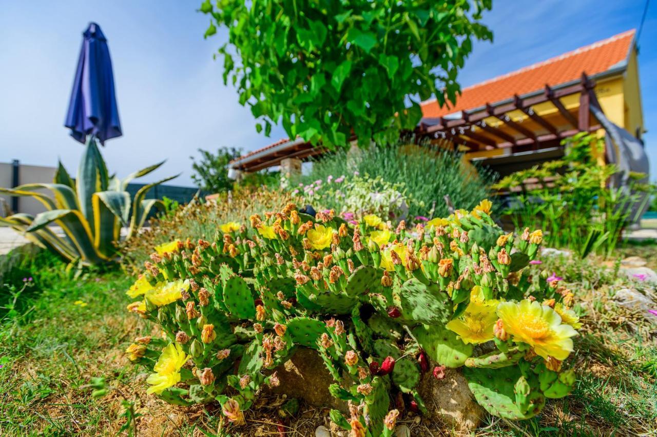 Вілла Sunny House Smokovic Екстер'єр фото