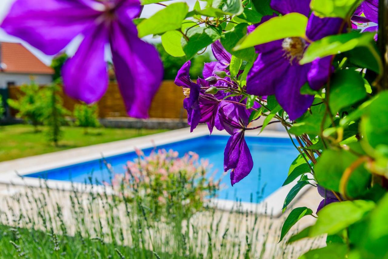 Вілла Sunny House Smokovic Екстер'єр фото